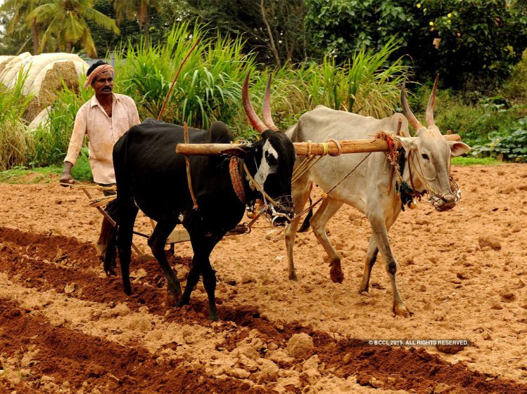 Banks suggest easier farm loan rules to remove stress 