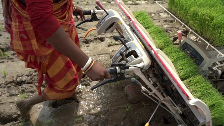 Government plans to nurture agri-entrepreneurs