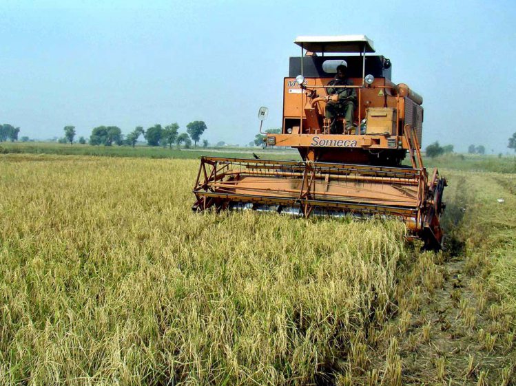 Higher water storage improves prospect of Kharif, Rabi crops
