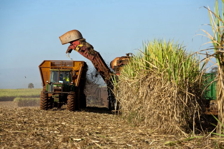 Sugar mills back move to build 4 million tonne buffer