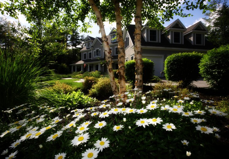 7 Landscaping Ideas to Boost Your Home’s Value